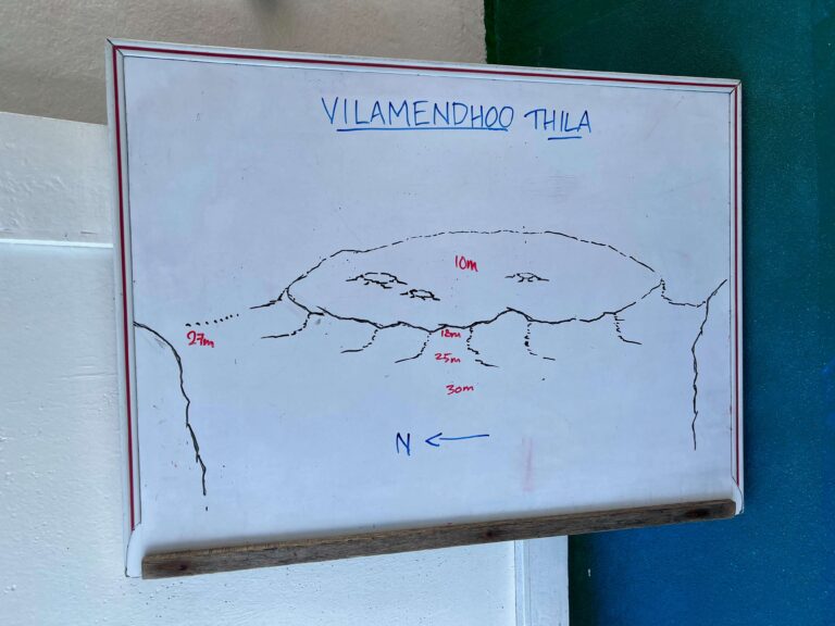 Vilamendhoo Thila​ - Maldivas