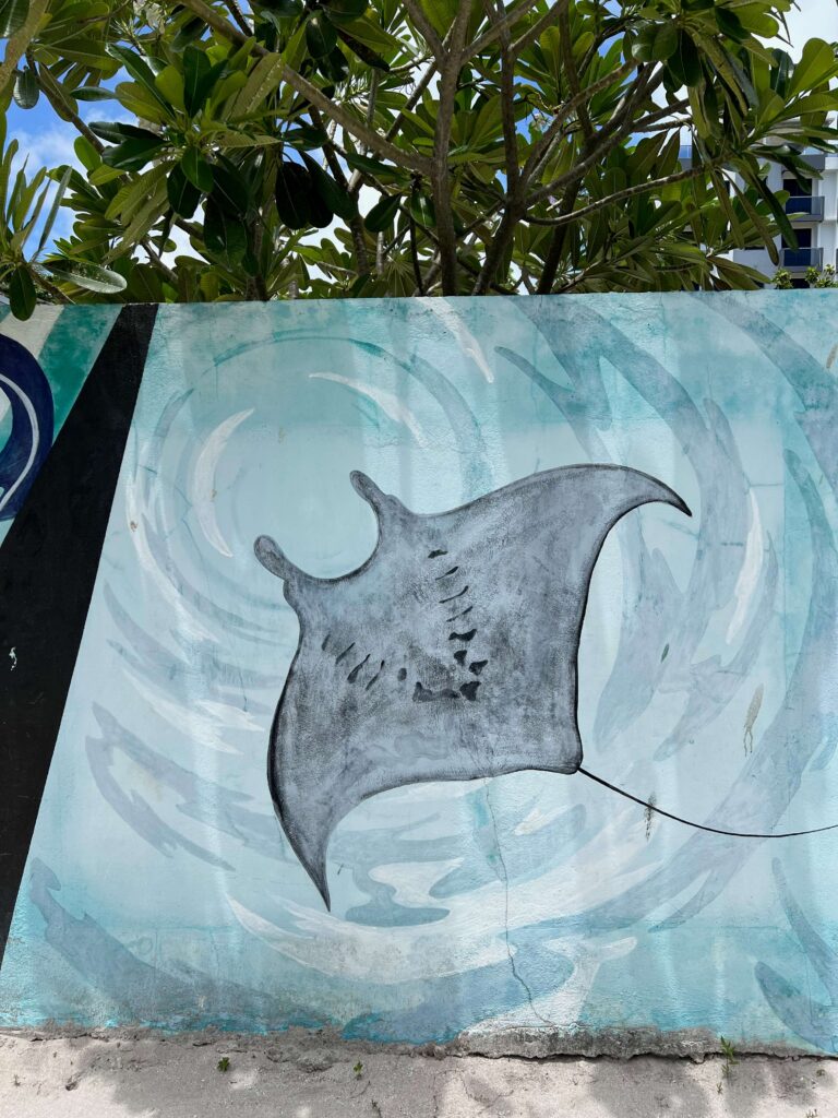 Mural Manta - Maldivas