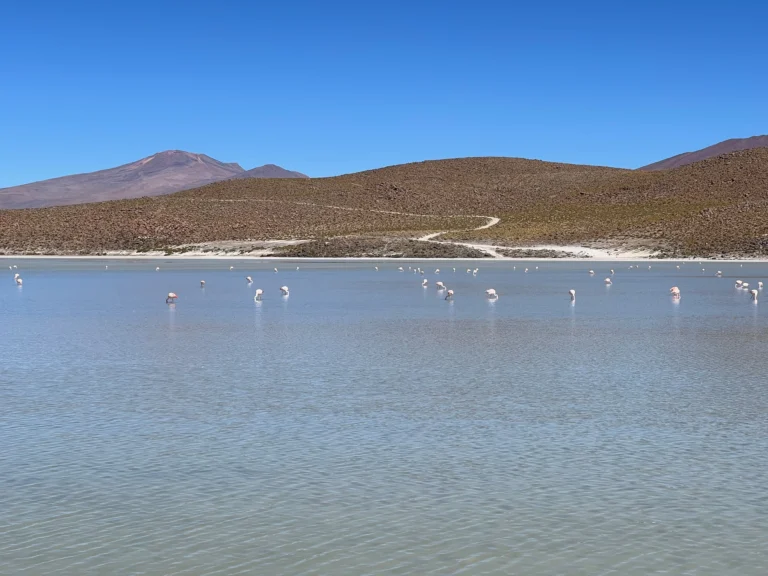 Laguna Honda - Uyuni