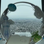 Vistas Tokyo Skytree