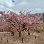 Parque Ueno