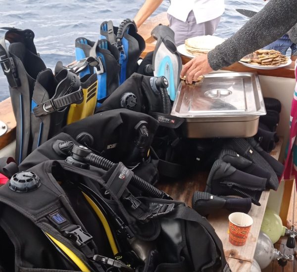 Buceo – Aqaba Buceo - Aqaba