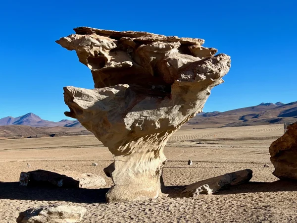 Árbol de Piedra Árbol de Piedra